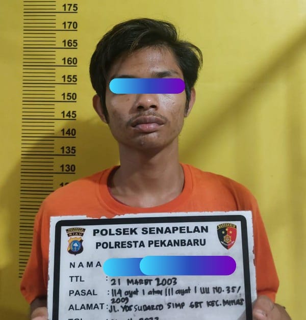 Polsek Senapelan Berhasil Meringkus Pelaku Pengedar Ganja 